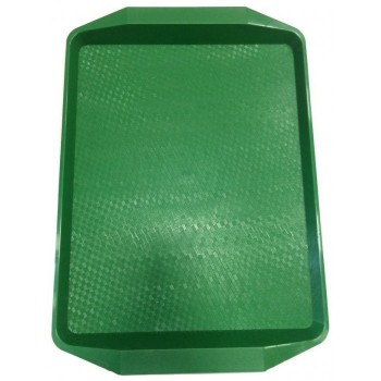 Поднос пластиковый (42х30) зелёный купить в Твери