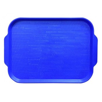 Поднос пластиковый (45х35,5) голубой купить в Твери
